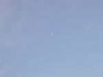 DSCN6434