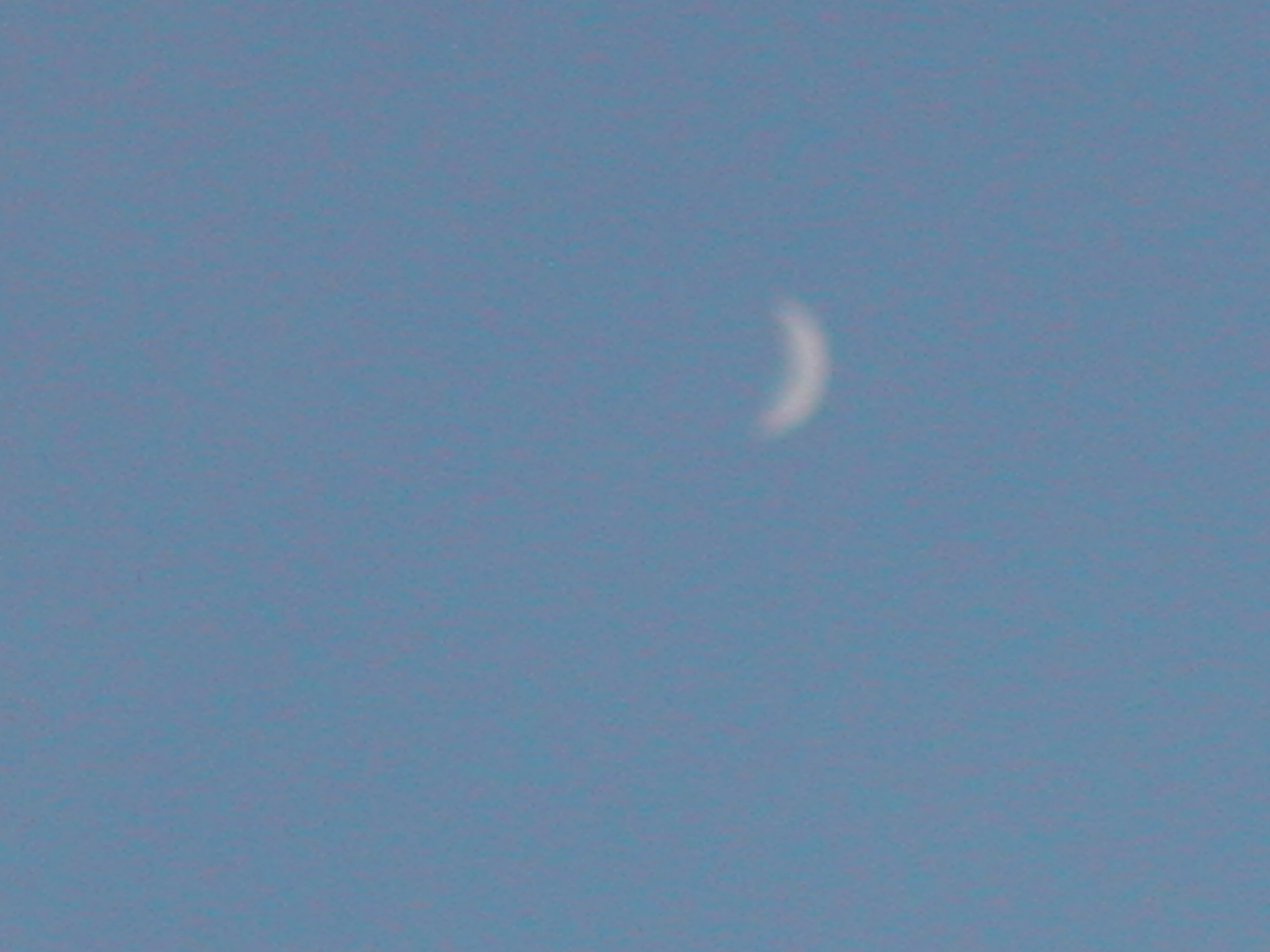 DSCN6435