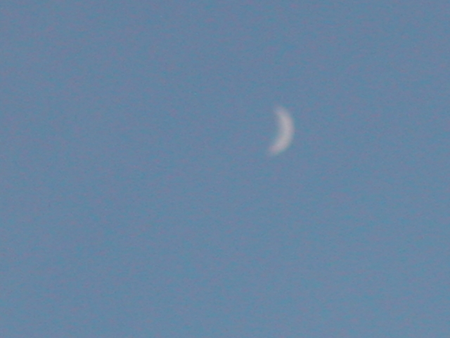 DSCN6435