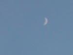 DSCN6435