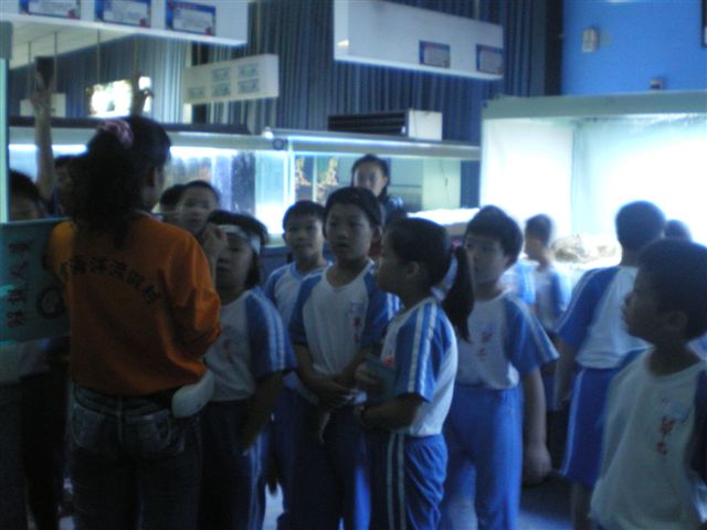 IMGP3913