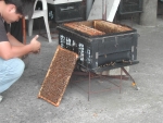 DSCN6446