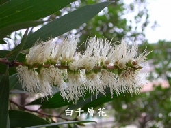 f044