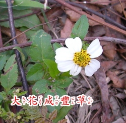 f053