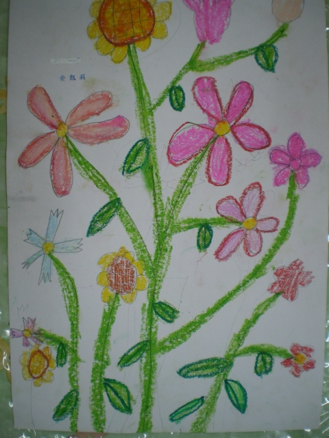 IMGP1690