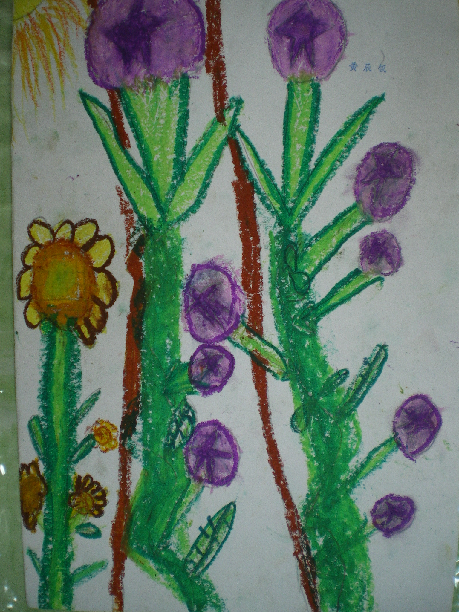 IMGP1692