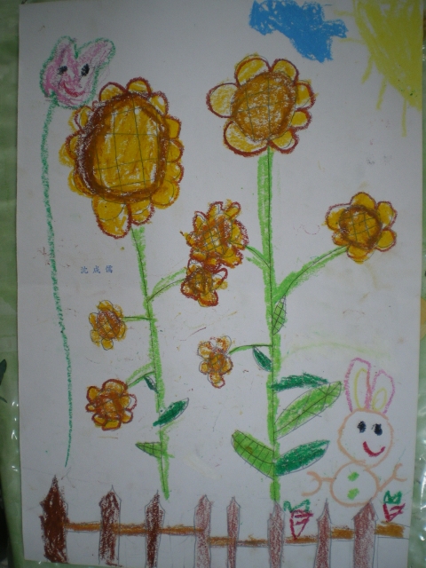IMGP1696