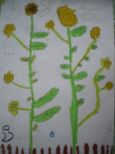 IMGP1697