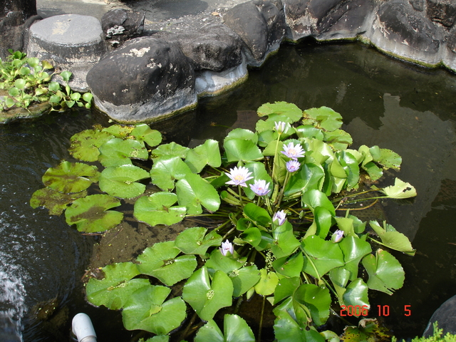 DSC02786