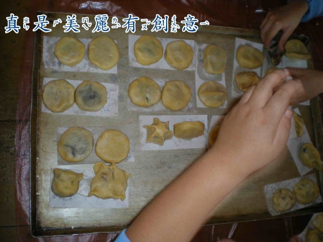 IMGP2563-1