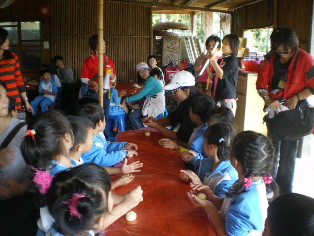 IMGP2550