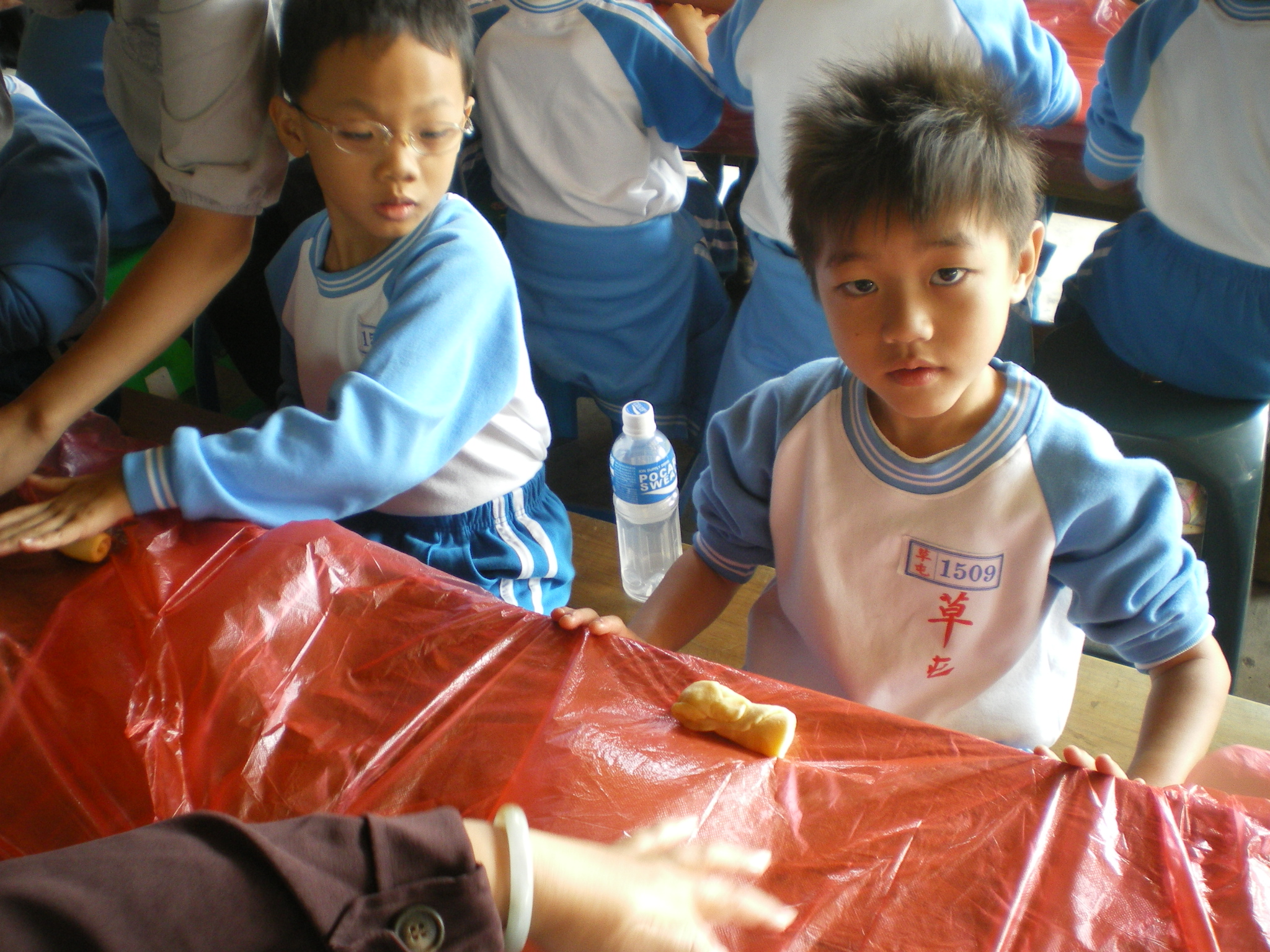 IMGP2558