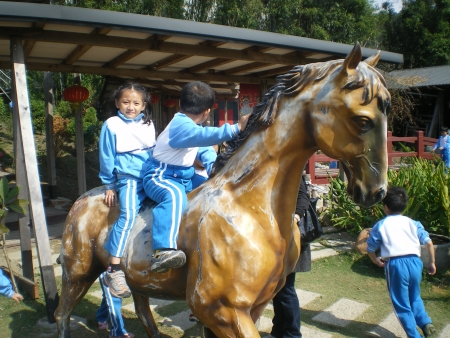 IMGP2568