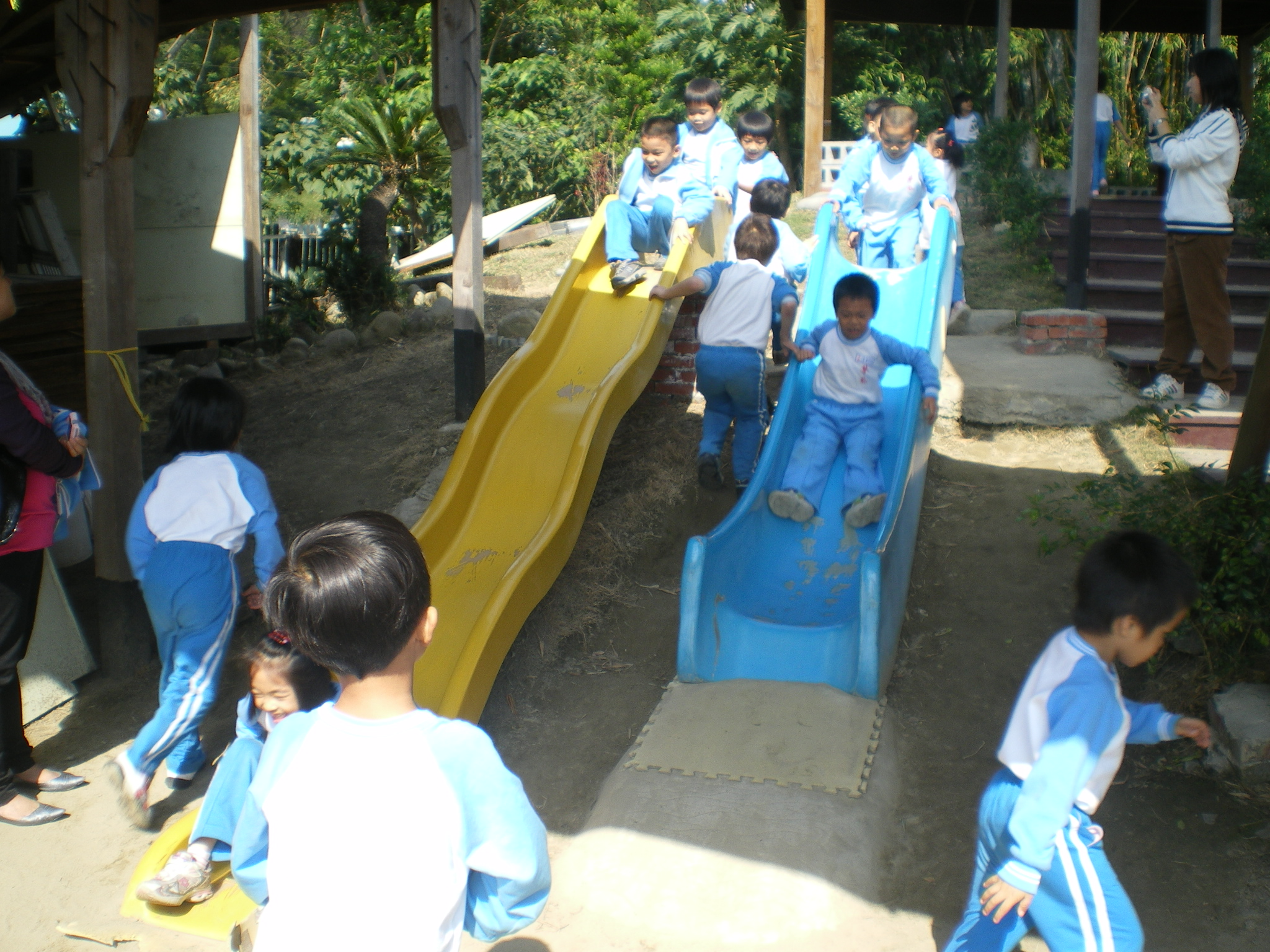 IMGP2575