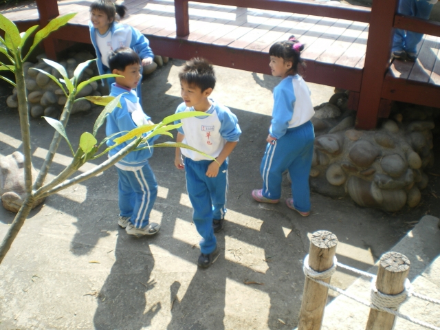 IMGP2580