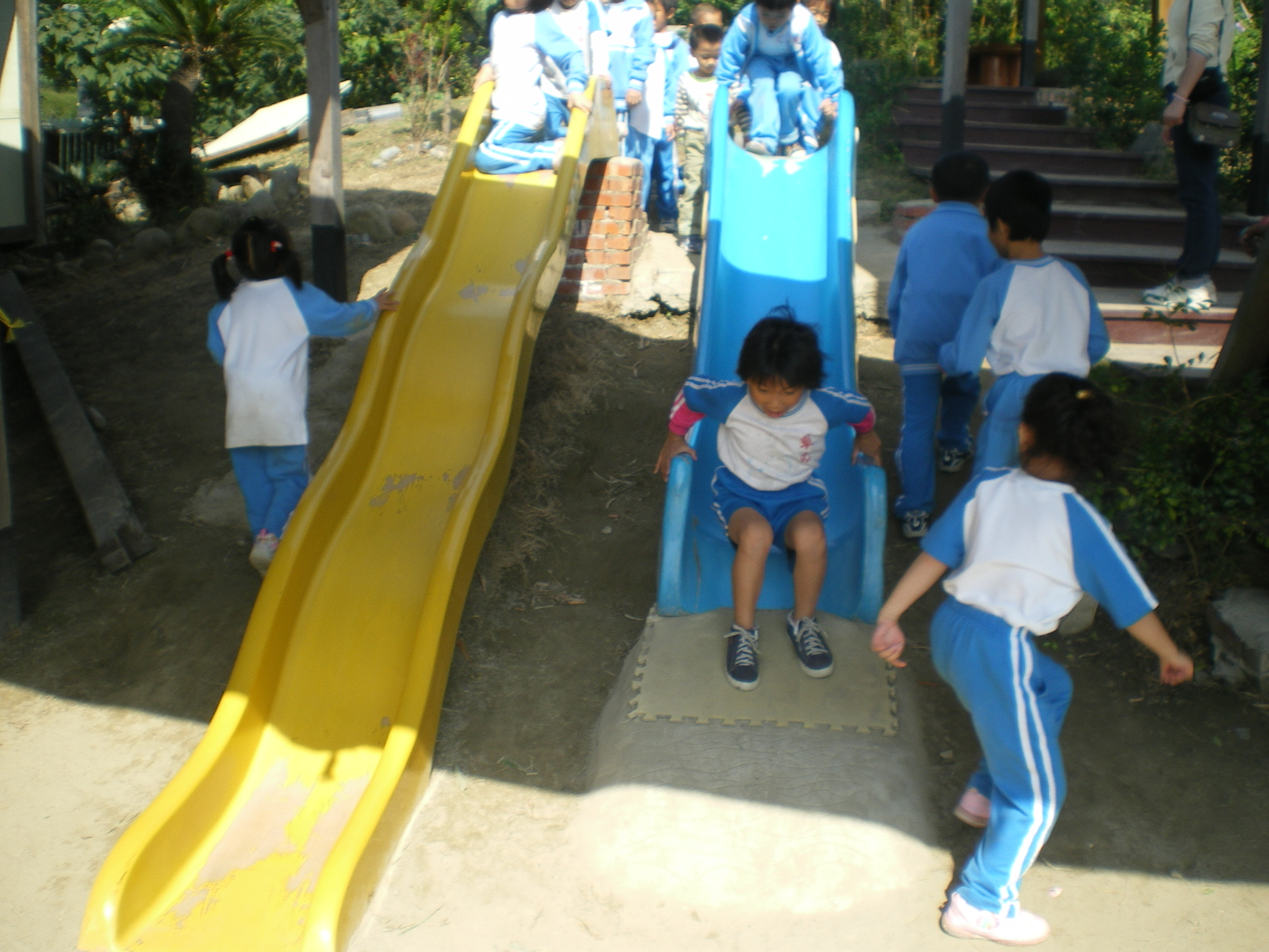 IMGP2586