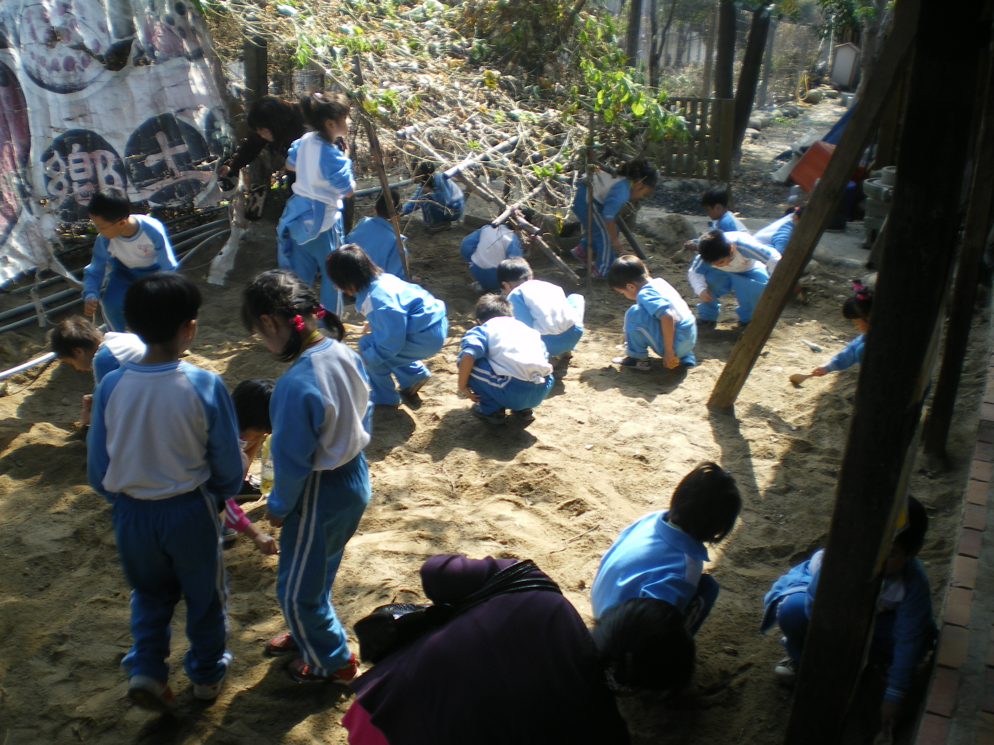 IMGP2623