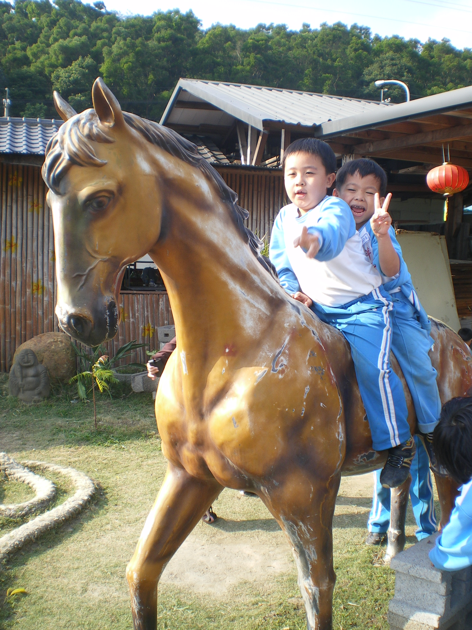IMGP2662