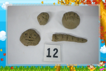 IMGP2834