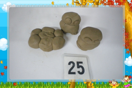 IMGP2836
