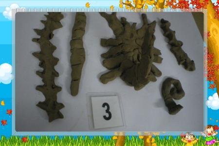 IMGP2852