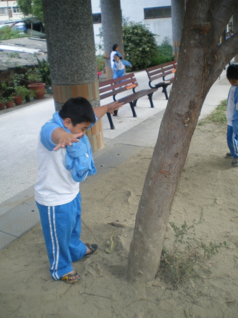IMGP2753