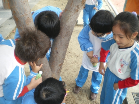 IMGP2755