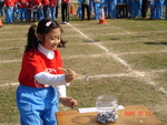 DSC02951