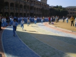 IMGP0088