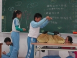 DSCN6550