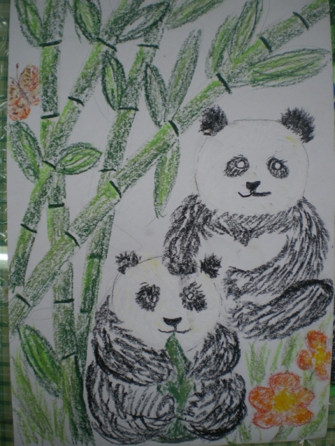 IMGP4428