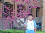 DSC04358