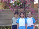 DSC04374