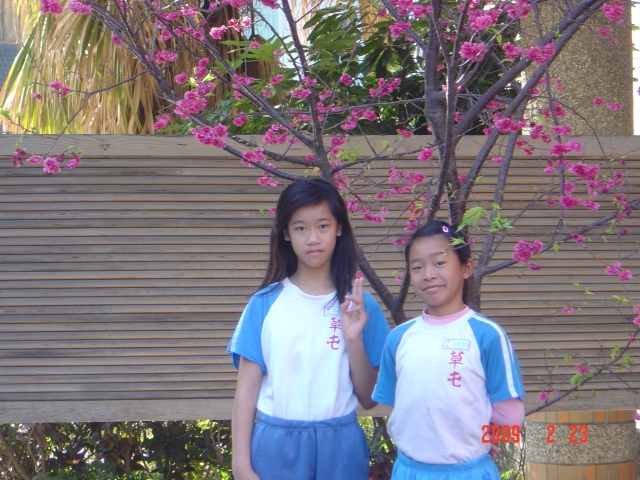 DSC04375