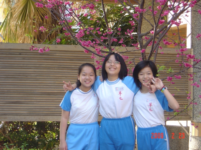 DSC04379