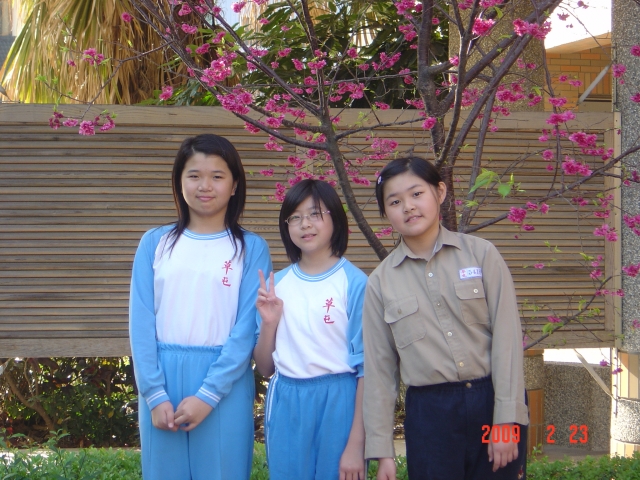 DSC04386
