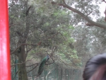 DSCN6598