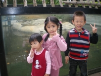 IMGP5529