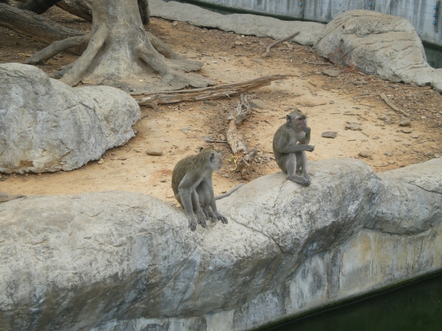 IMGP5548