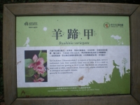IMGP5552