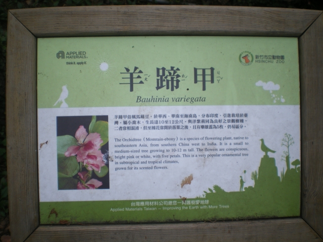 IMGP5552