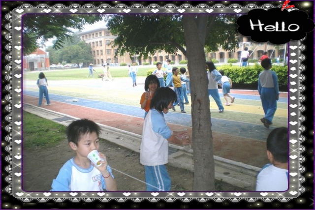 IMGP5879
