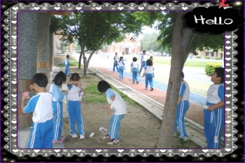 IMGP5895