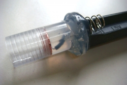 Image00006