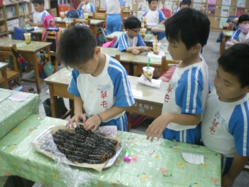 IMGP6294