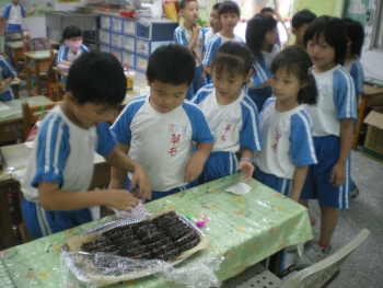 IMGP6295