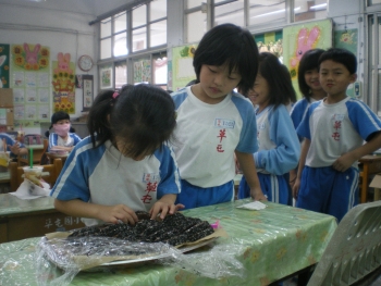 IMGP6297