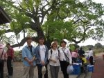 picture120