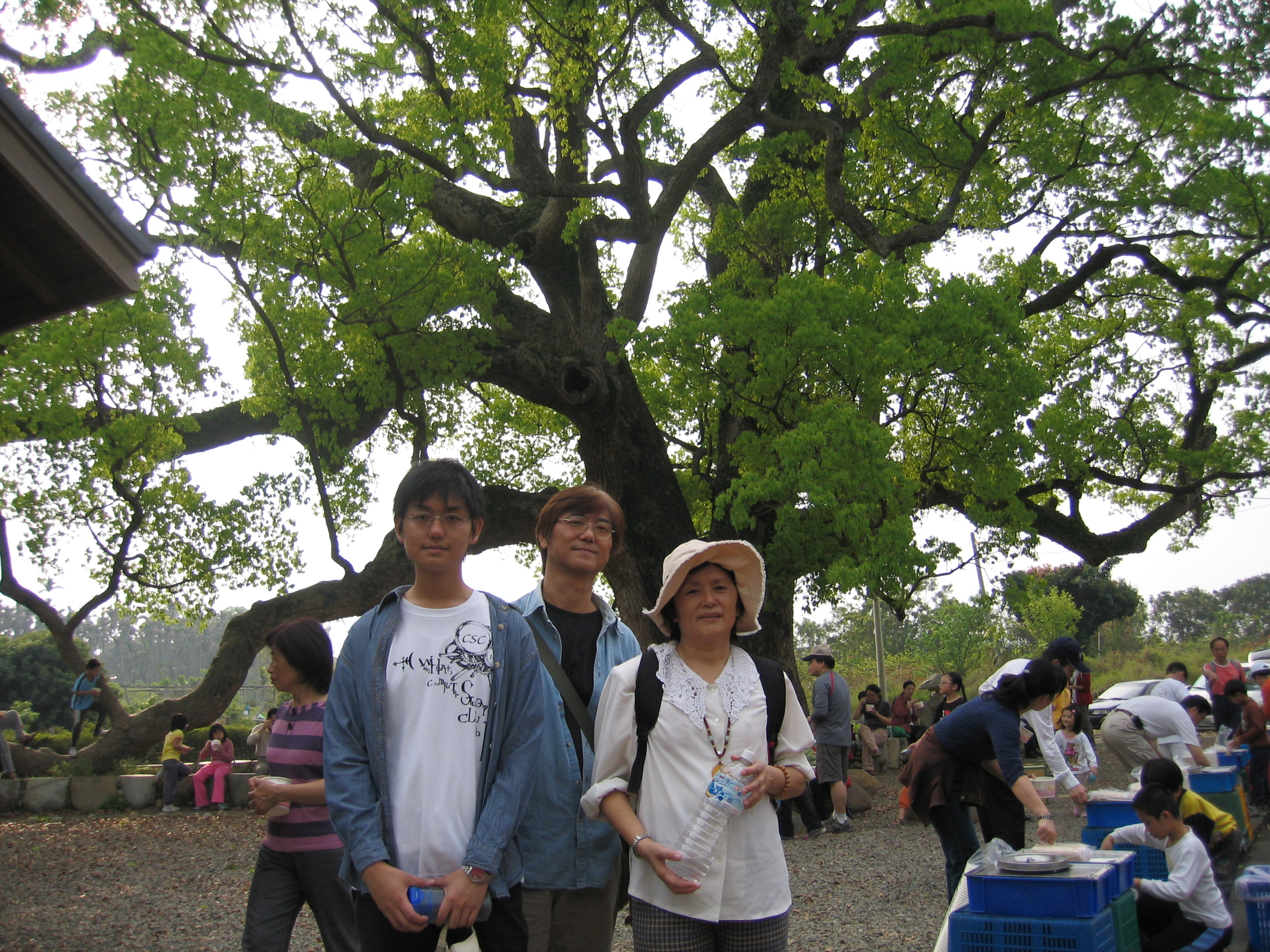 picture12313