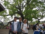 picture12313